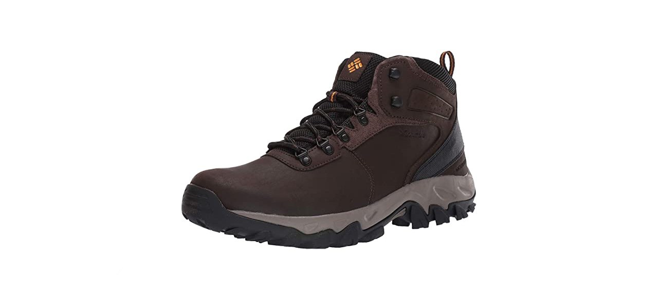 best Columbia Men's Newton Ridge Plus II Waterproof Hiking Boot