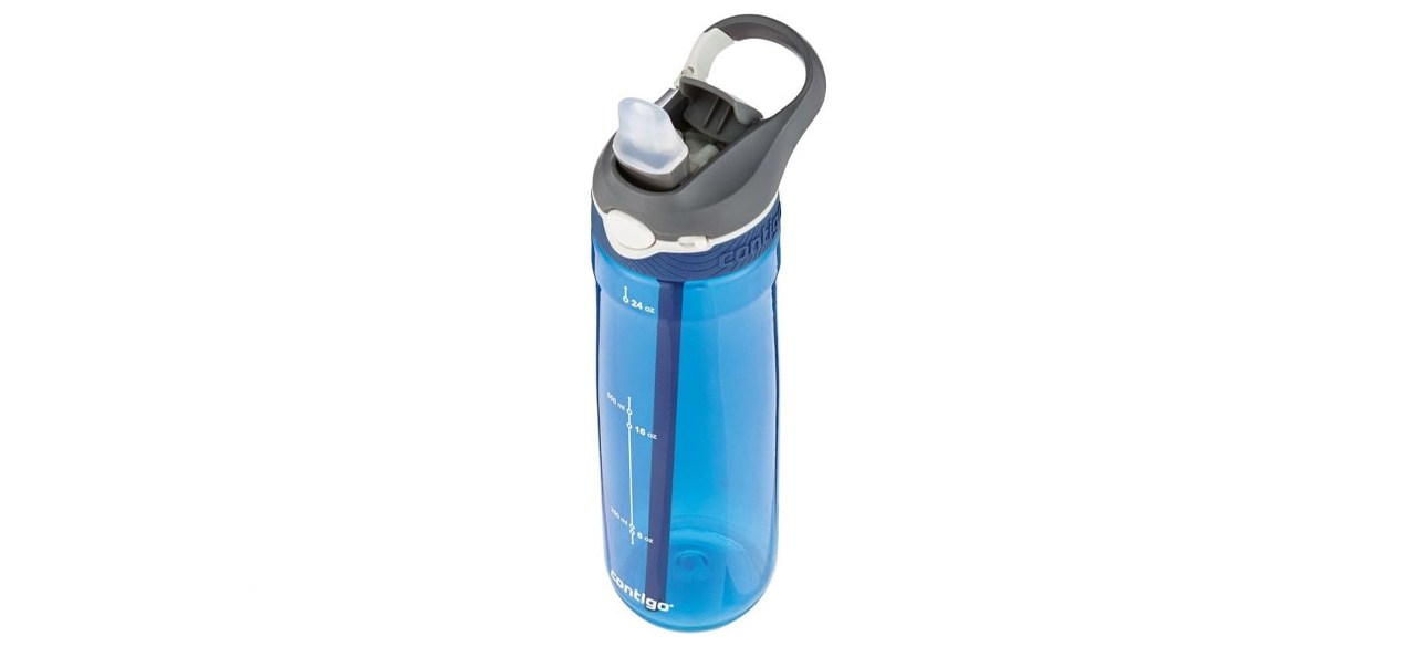 Contigo Autospout Ashland Wasserflasche