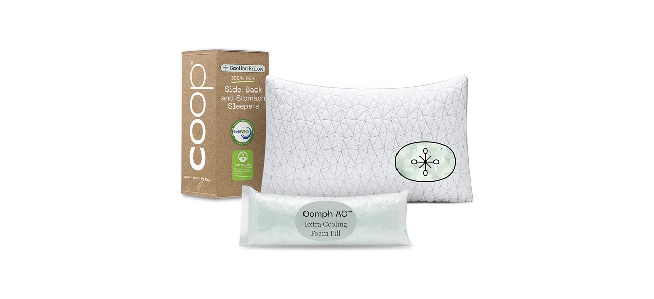 best Coop Home Goods Eden Bed Pillow