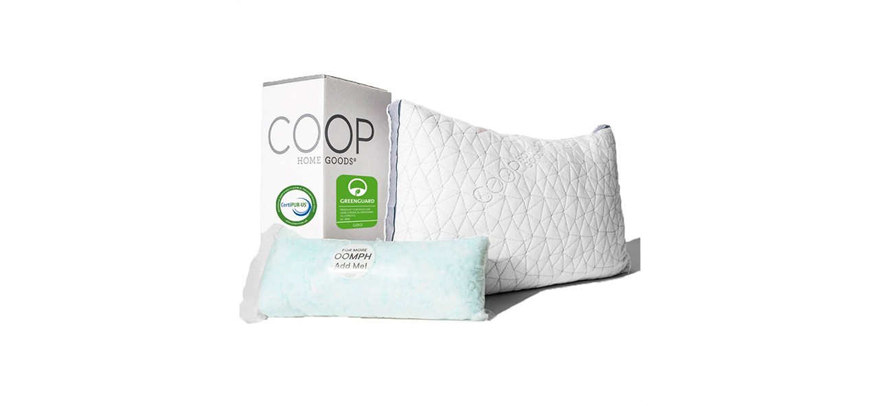 Best Coop Home Goods Eden Pillow