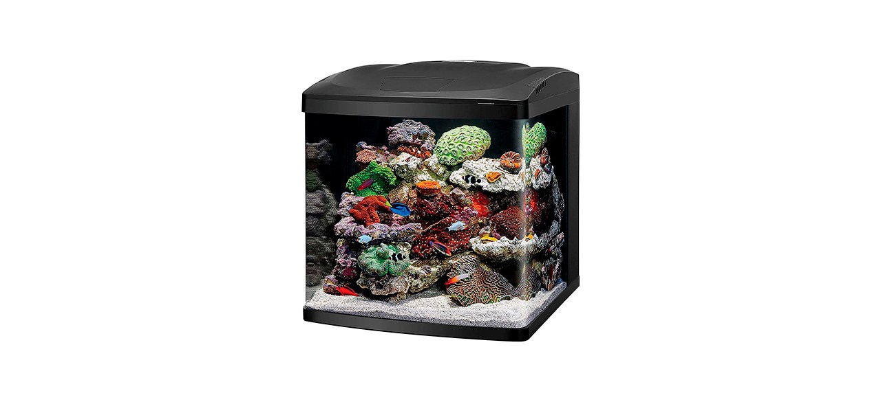 Best Coralife LED BioCube Aquarium Fish Tank Kit