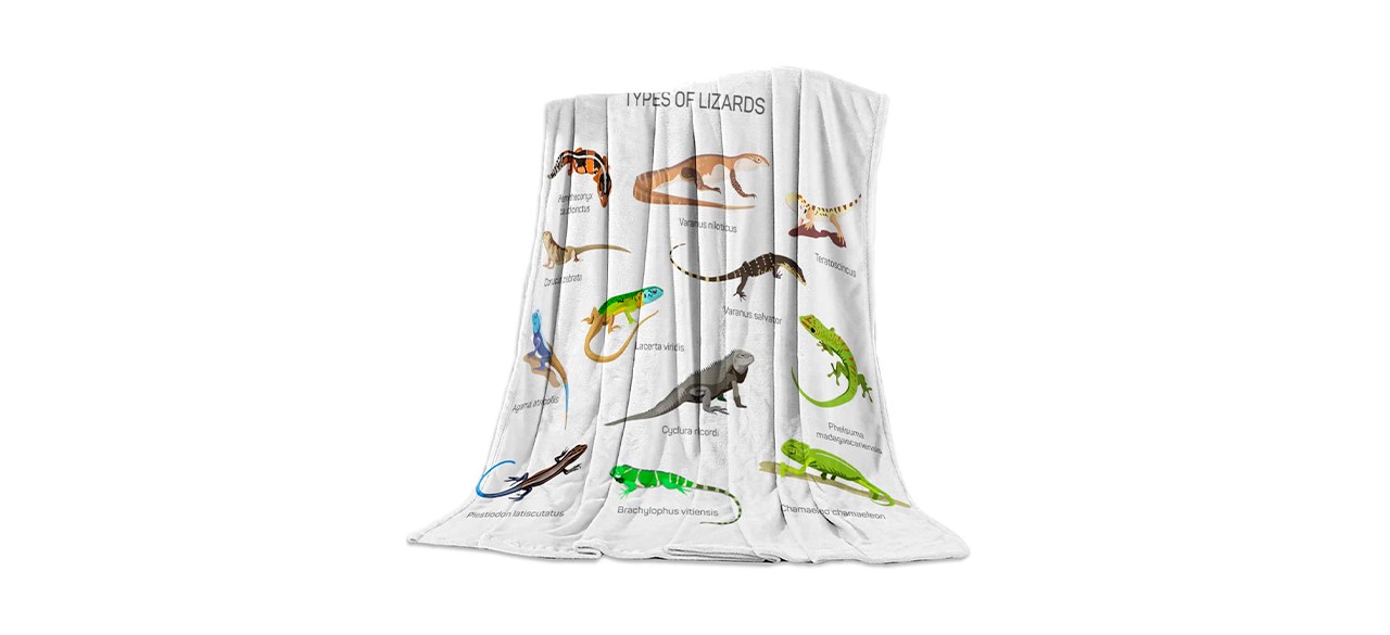 Best CosyBright Types of Lizards Microfiber Blanket