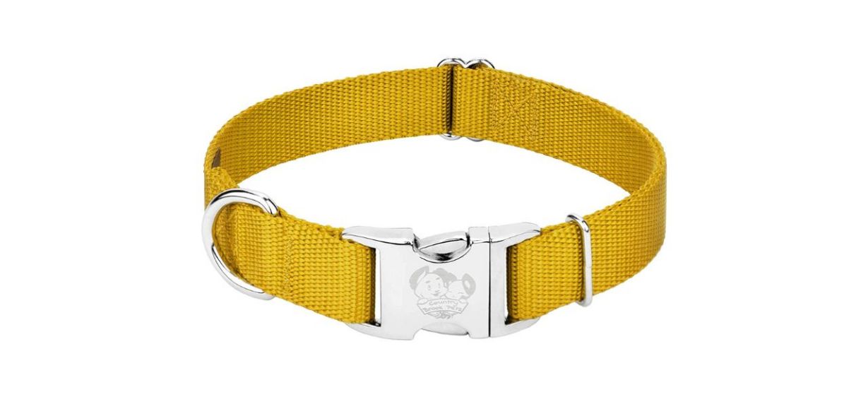 Best Country Brook Design Gold Nylon Dog Collar