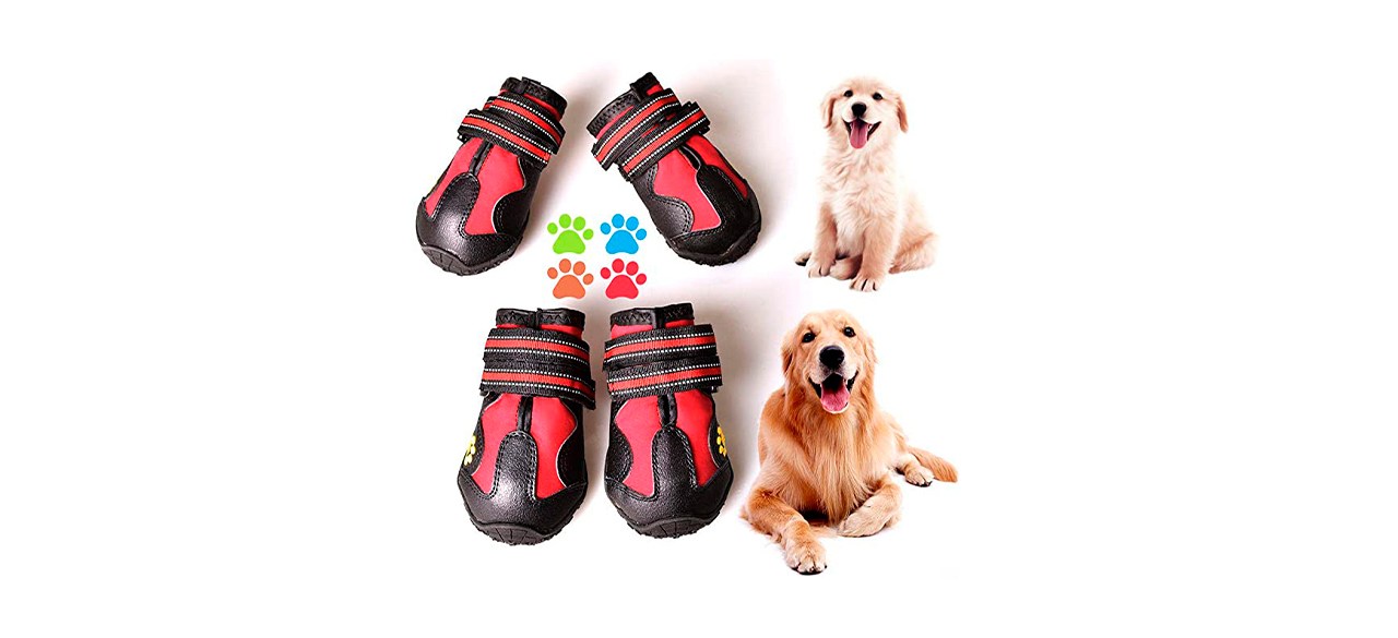 Best CovertSafe& Dog Shoes