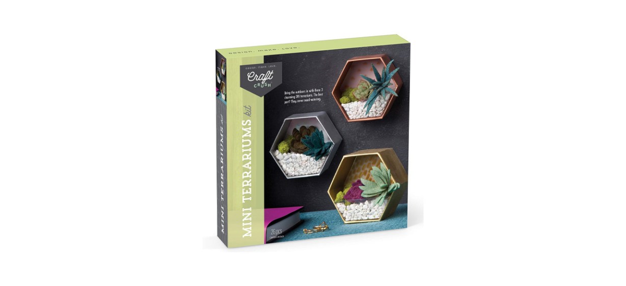 Best Craft Crush Mini Terrariums DIY Kit Best Craft Crush Mini Terrariums DIY Kit