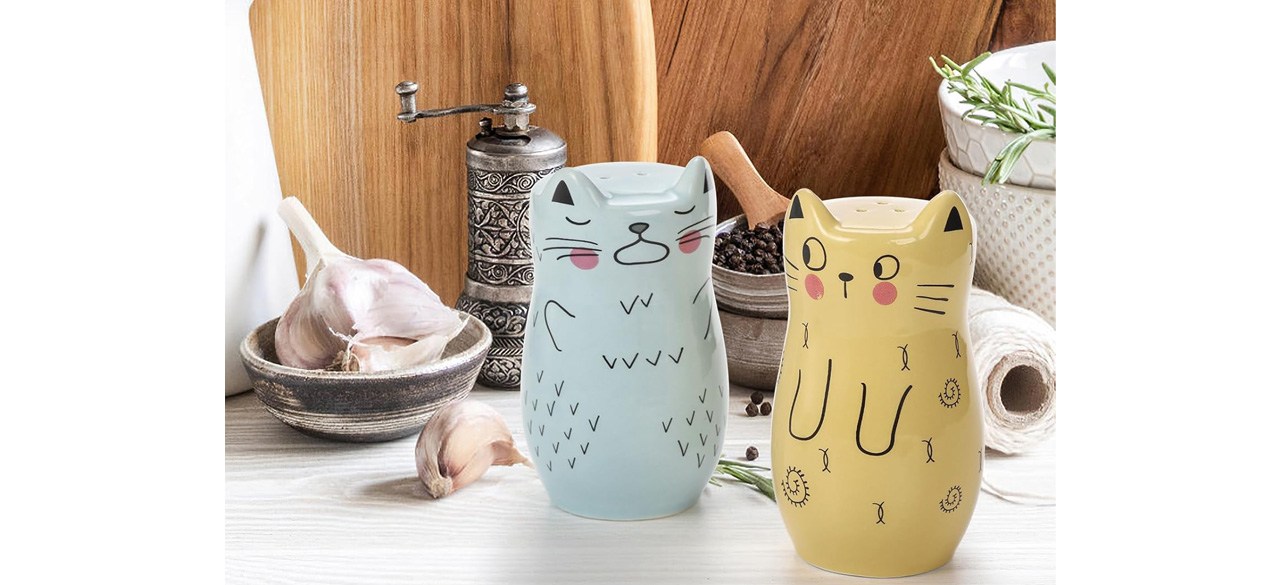 Best Yarlung Cat Salt and Pepper Shaker