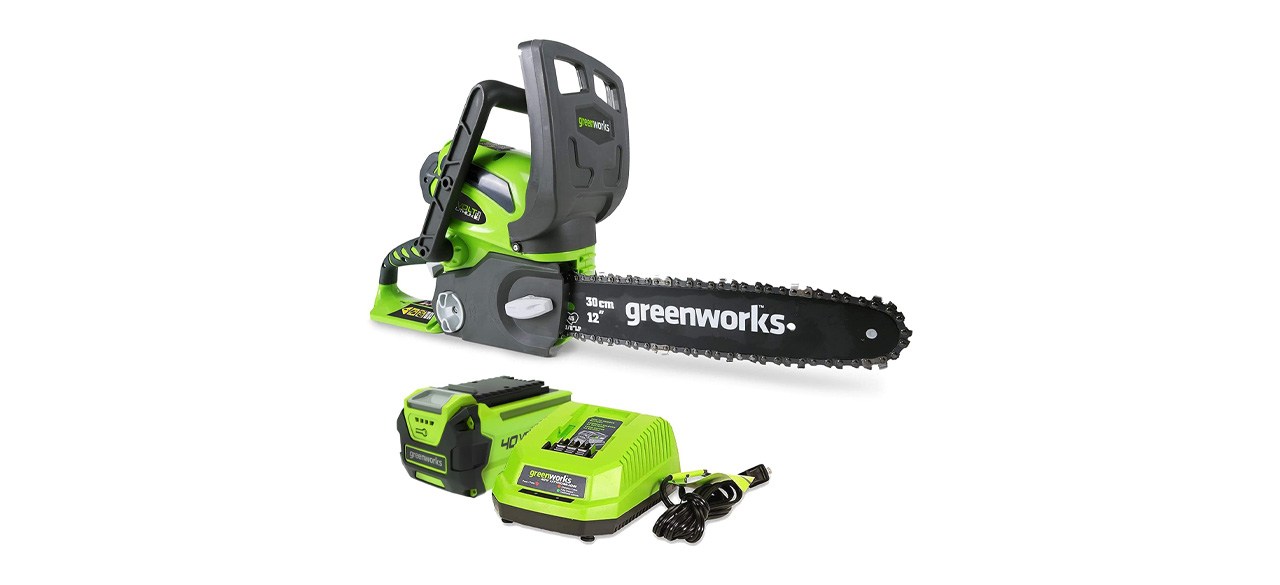 Best Greenworks 40V 12-Inch Cordless Compact Chainsaw