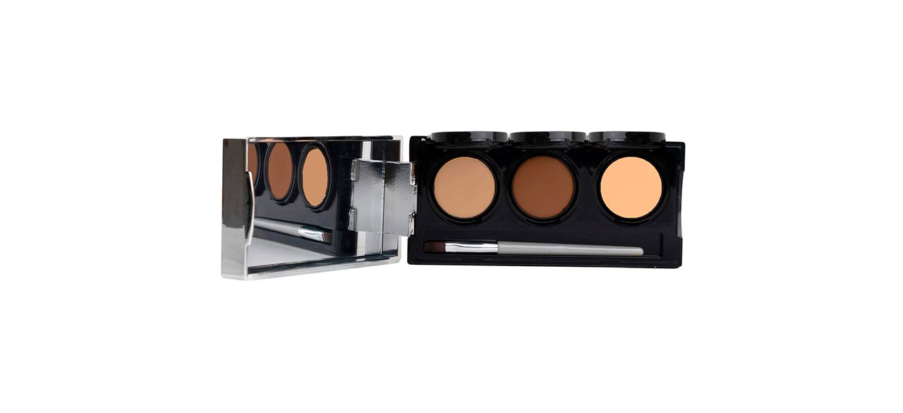 Best Dermaflage Full Coverage Concealer Palette