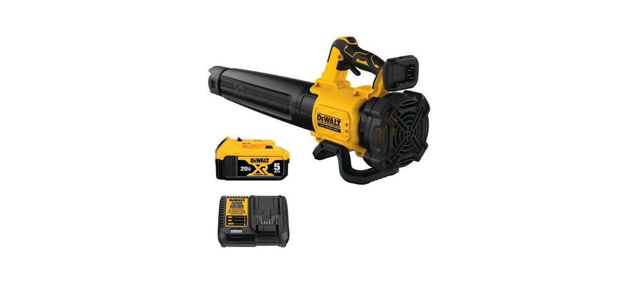 Best DeWalt Cordless Leaf Blower