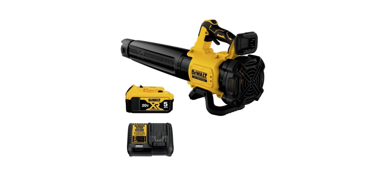 DeWalt 20-Volt Max XR Leaf Blower Kit