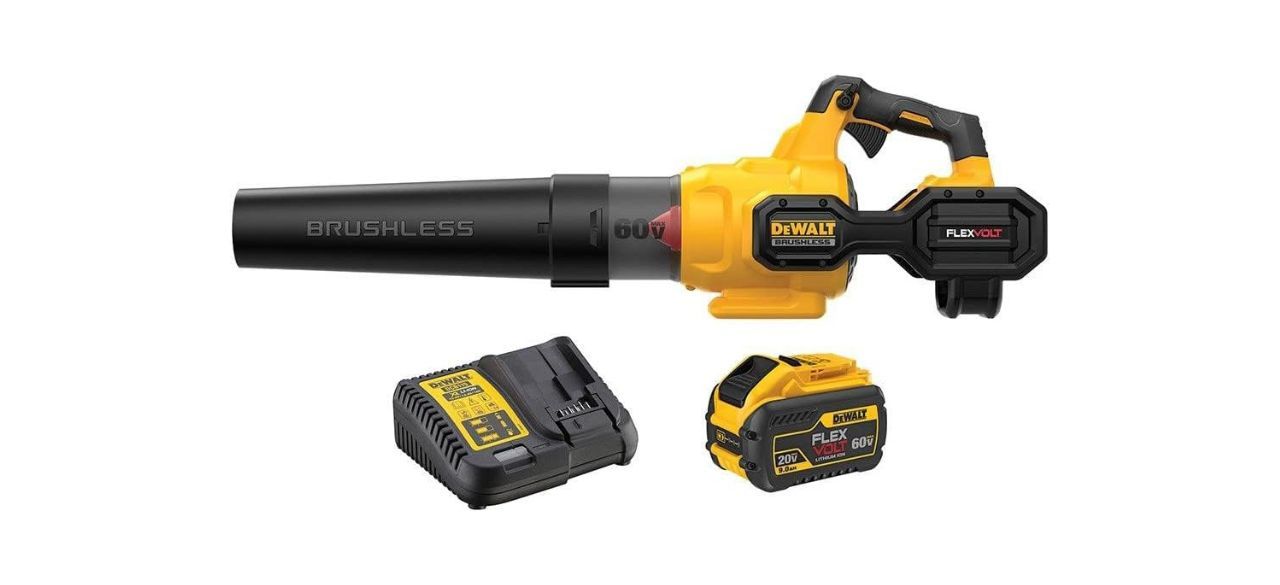 Best dewalt cordless leaf blower sale