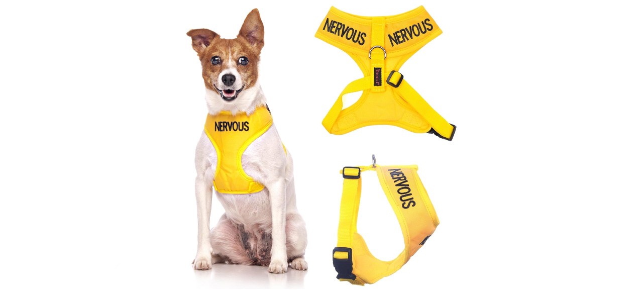 Dexil Limited Nervous (Give Me Space) Yellow Vest