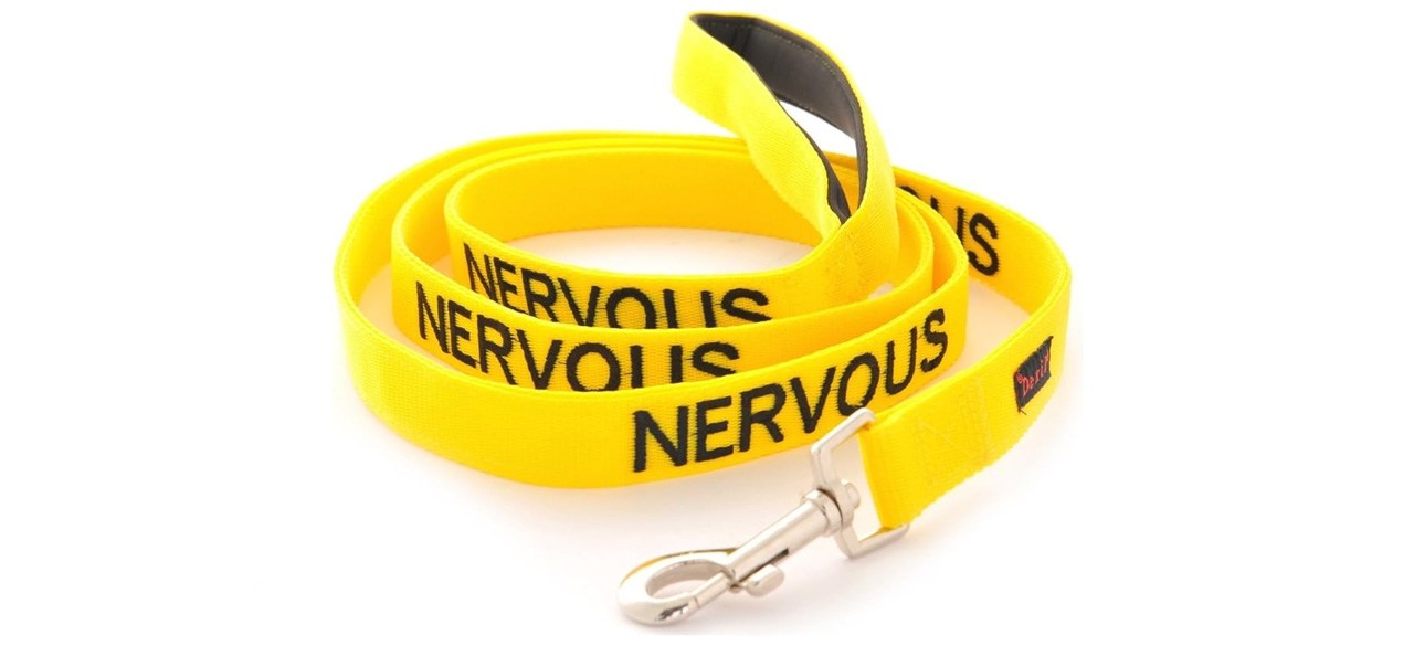 Dexil Limited Nervous Yellow Padded Dog Leash