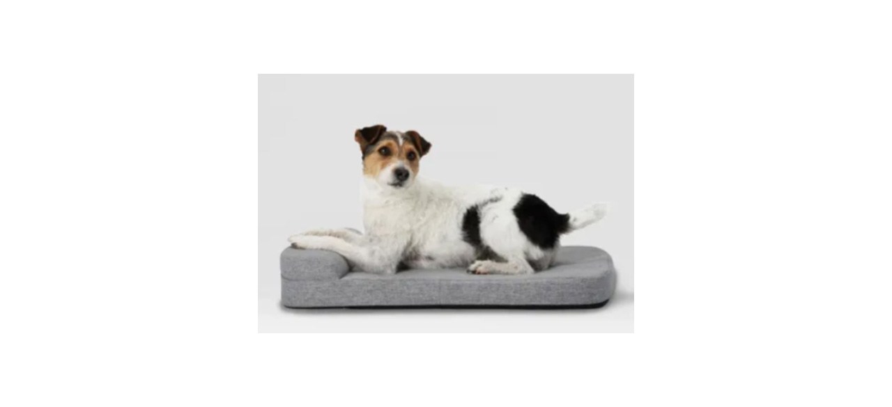 Best Bolstr Dog Bed