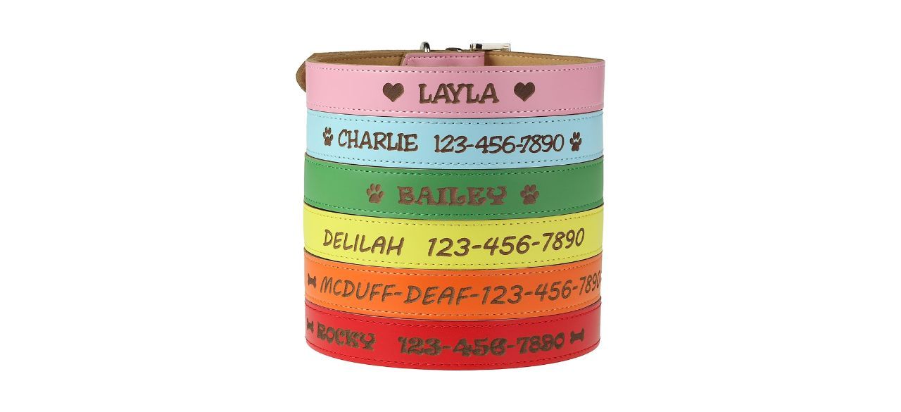 Custom Catch Personalized Dog Collar