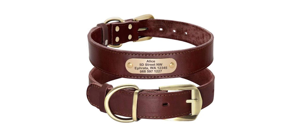 Didog Genuine Leather Dog Collar with Engraved Nameplate