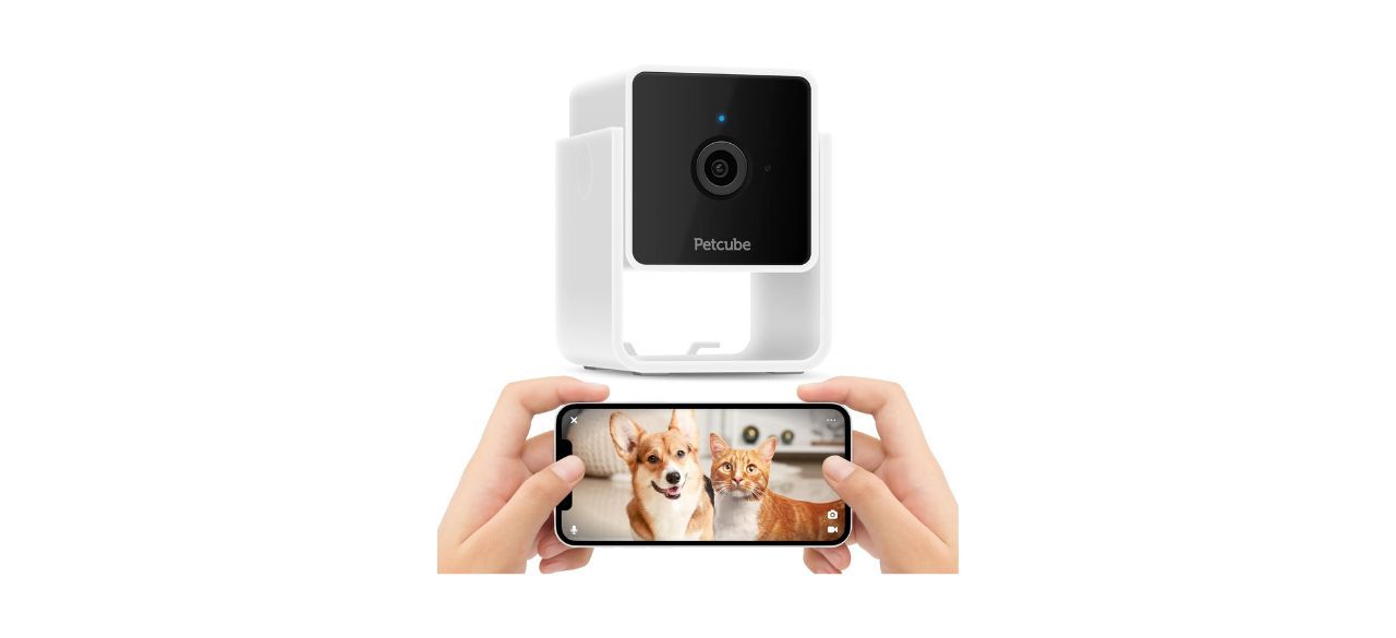 Petcube Cam Indoor Wi-Fi Pet and Security Camera