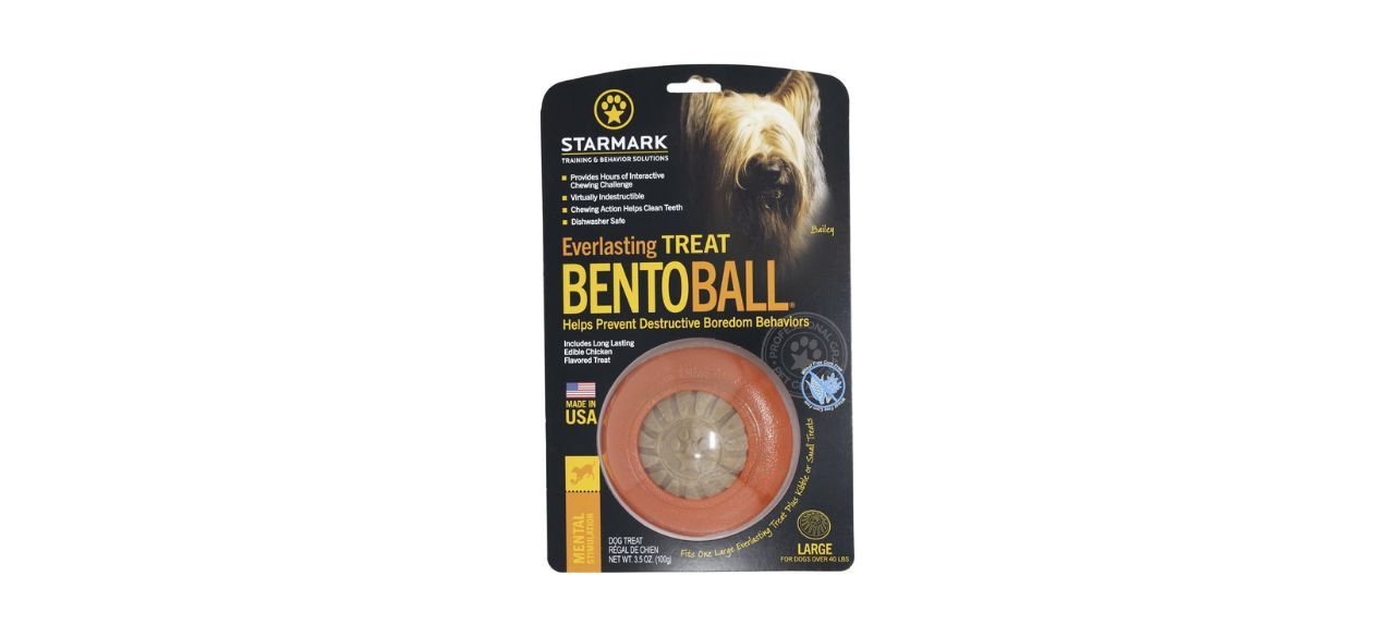 Starmark Everlasting Treat Bento Ball Tough Dog Chew Toy