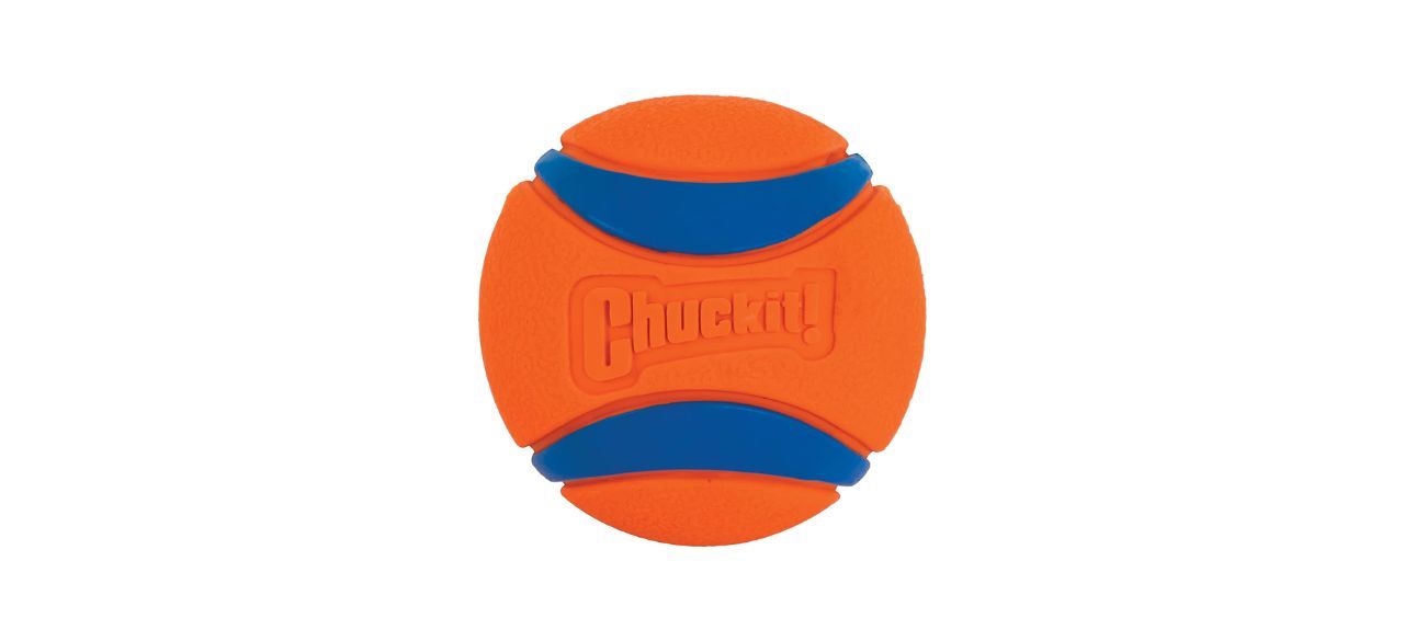 best Chuckit Ultra Ball Dog Toy