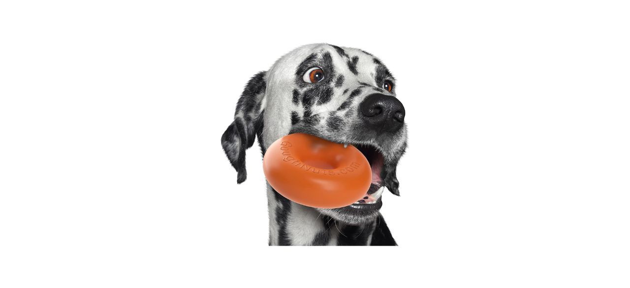 Goughnuts Medium Heavy Duty Dog Toy