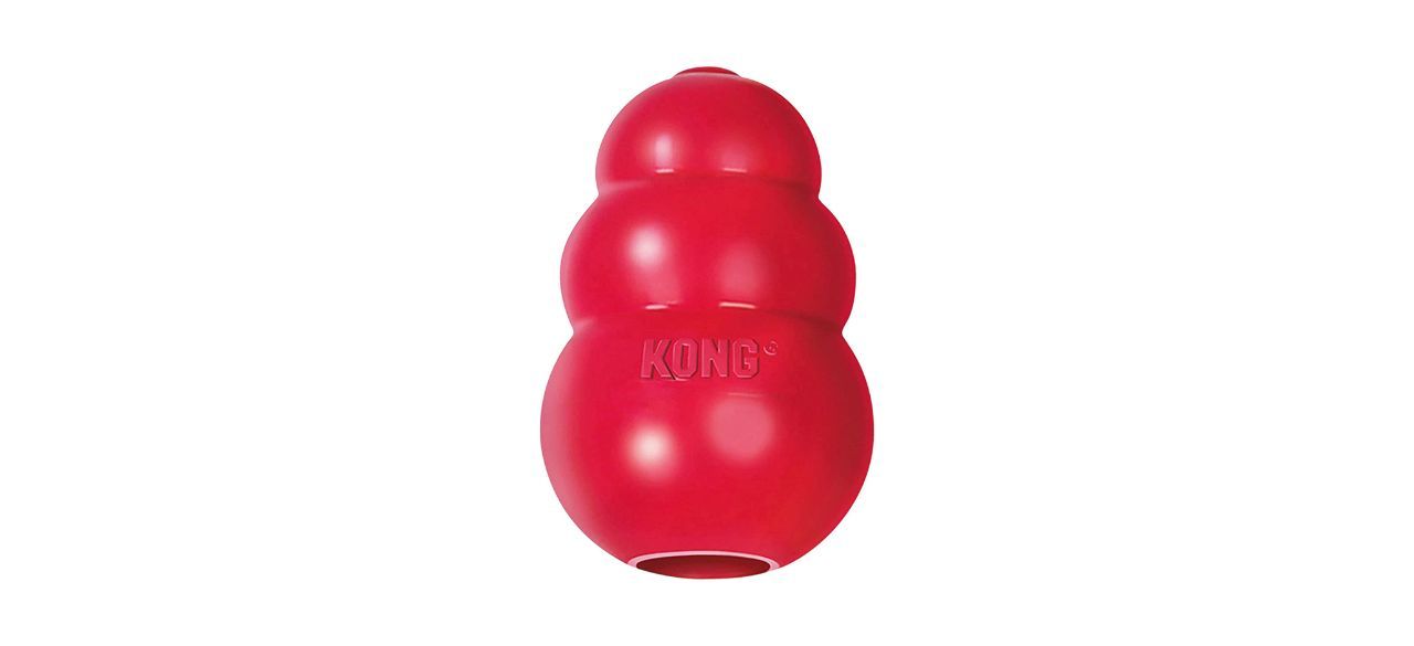 best Kong Extreme Dog Toy