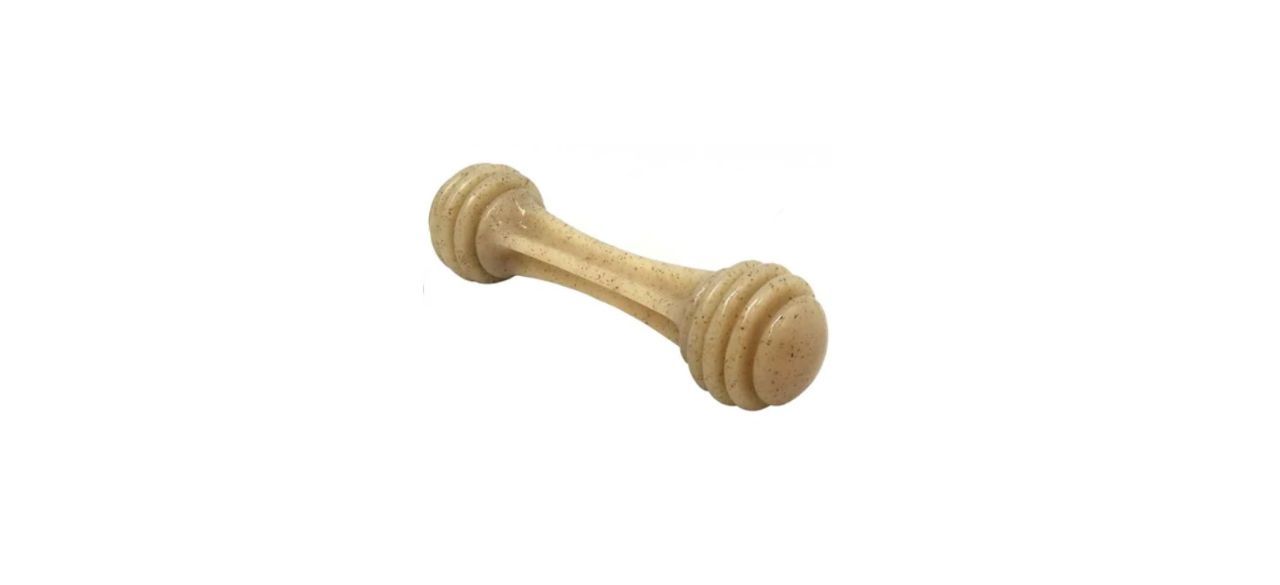 SodaPup Nylon Honey Bone Ultra Durable Dog Chew