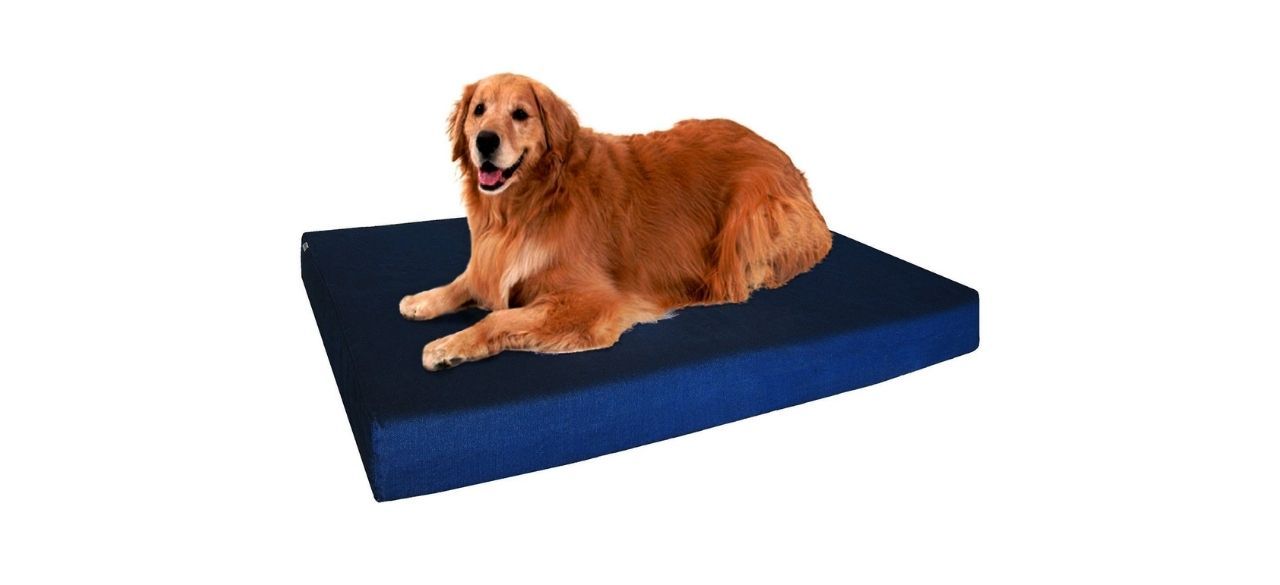 Dogbed4less Premium Orthopedic Memory Foam Dog Bed