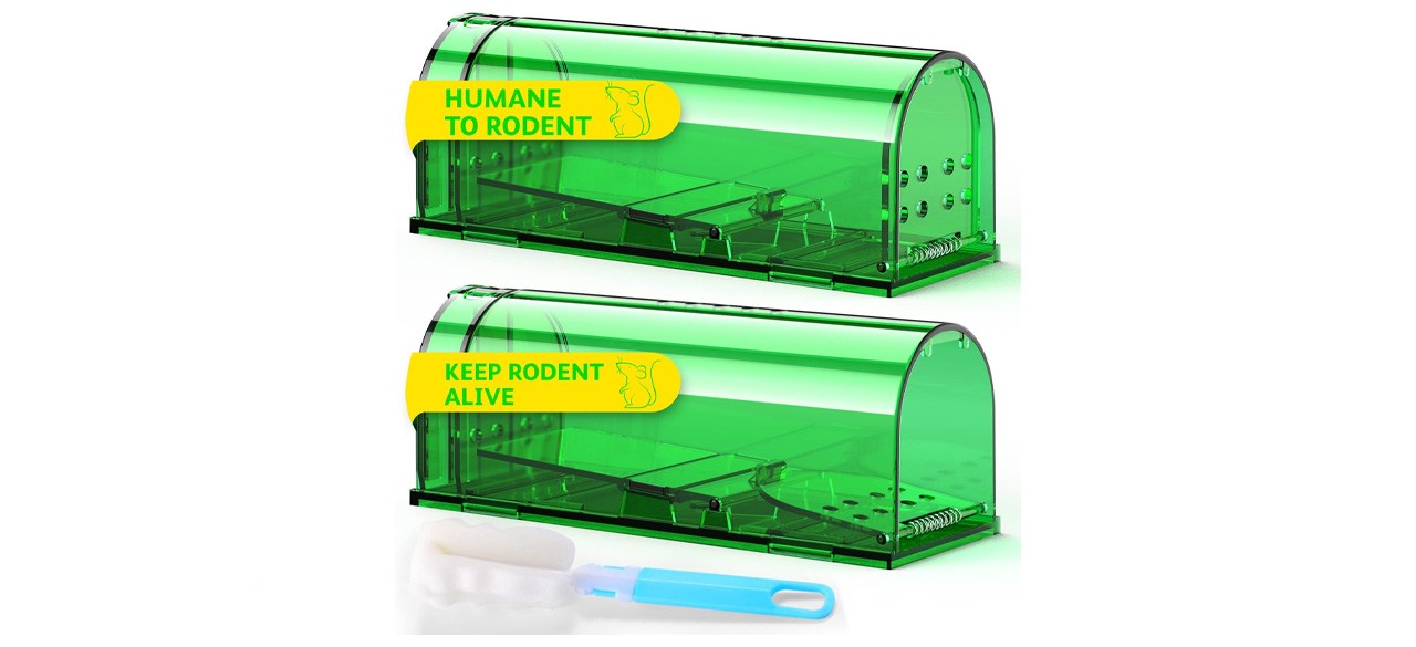 Best Dr. Catch Humane Mouse Traps