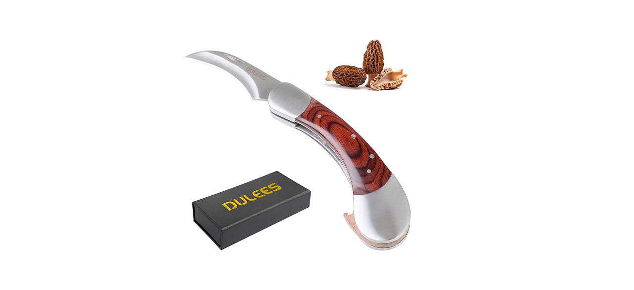 Best Dulees Mushroom Knife with Brush and Sheath