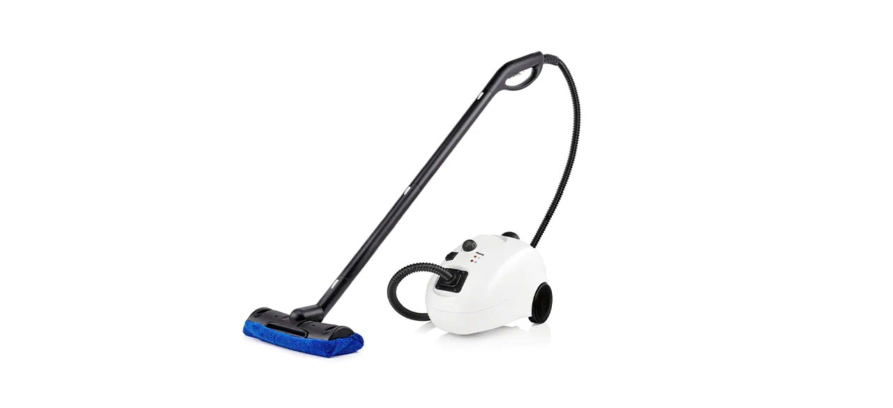 Best Dupray Home Steam Cleaner