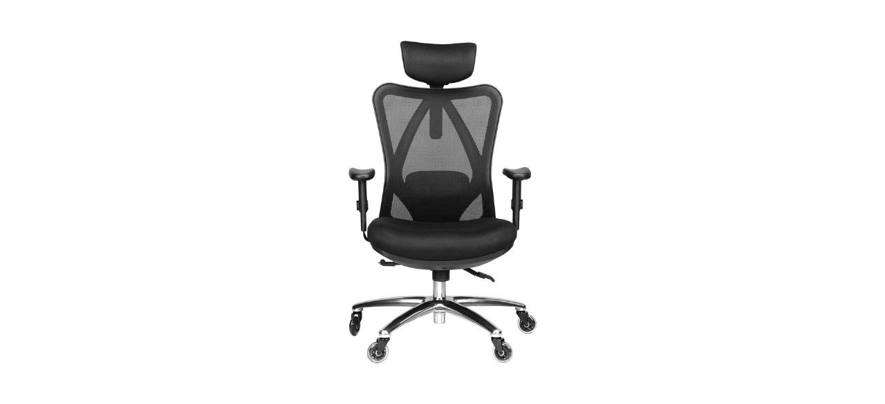 Duramont Ergonomic Office Chair