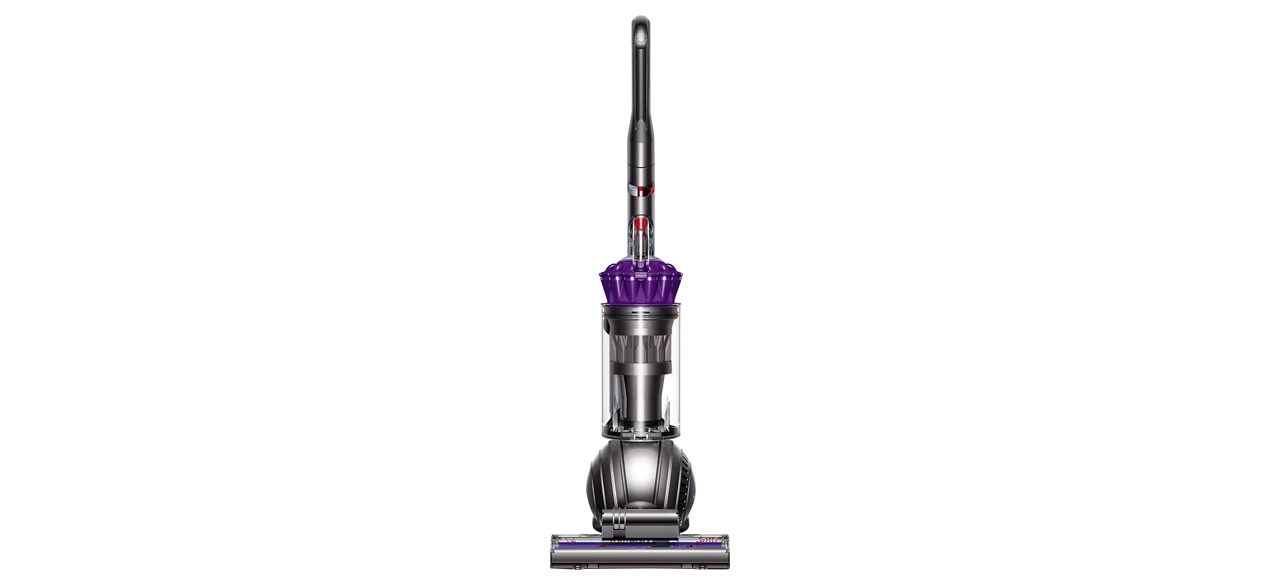 Dyson Ball Animal Upright Vacuum