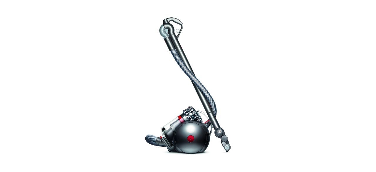 Best Dyson Cinetic Big Ball Animal Canister Vacuum Cleaner