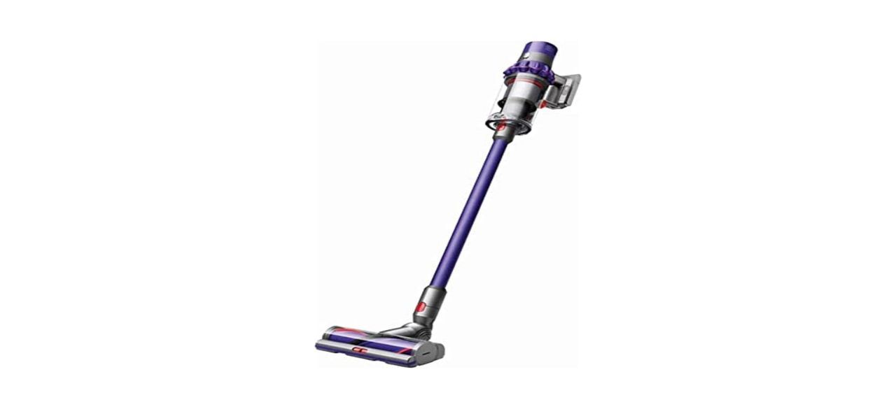 Best Dyson Cyclone V10 Animal