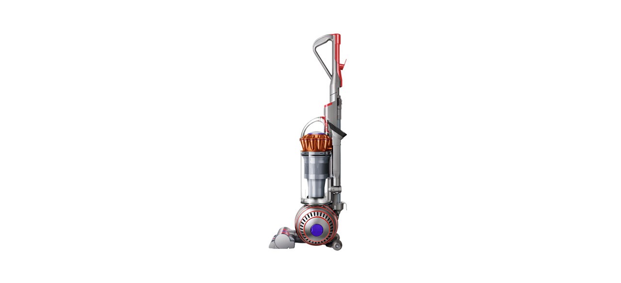 Dyson Ball Animal 3 Extra