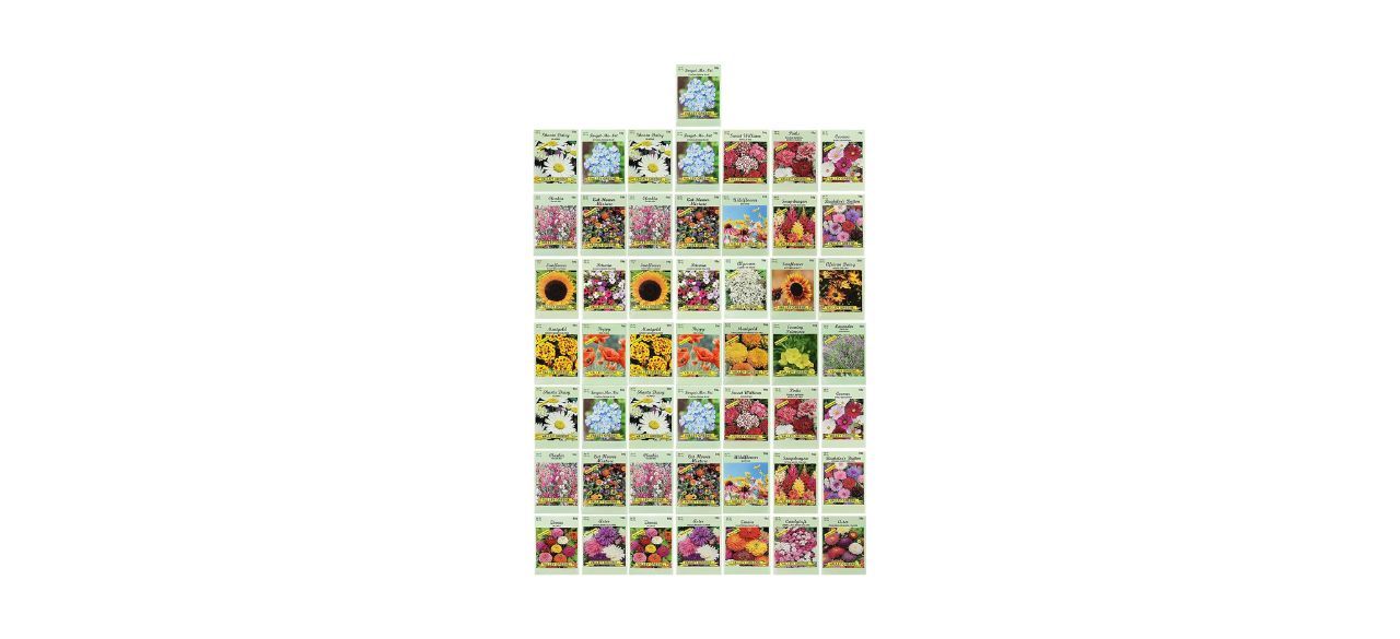 Black Duck Brand Set of 50 Flower Seed Packets