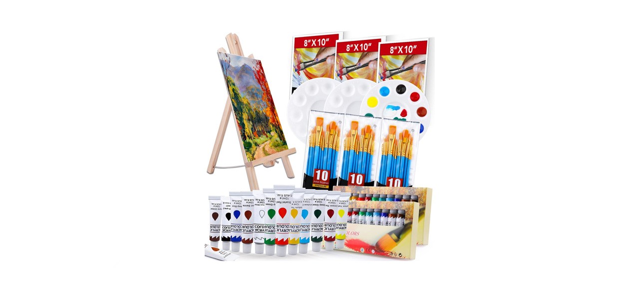 best Esrich Acrylic Painting Set