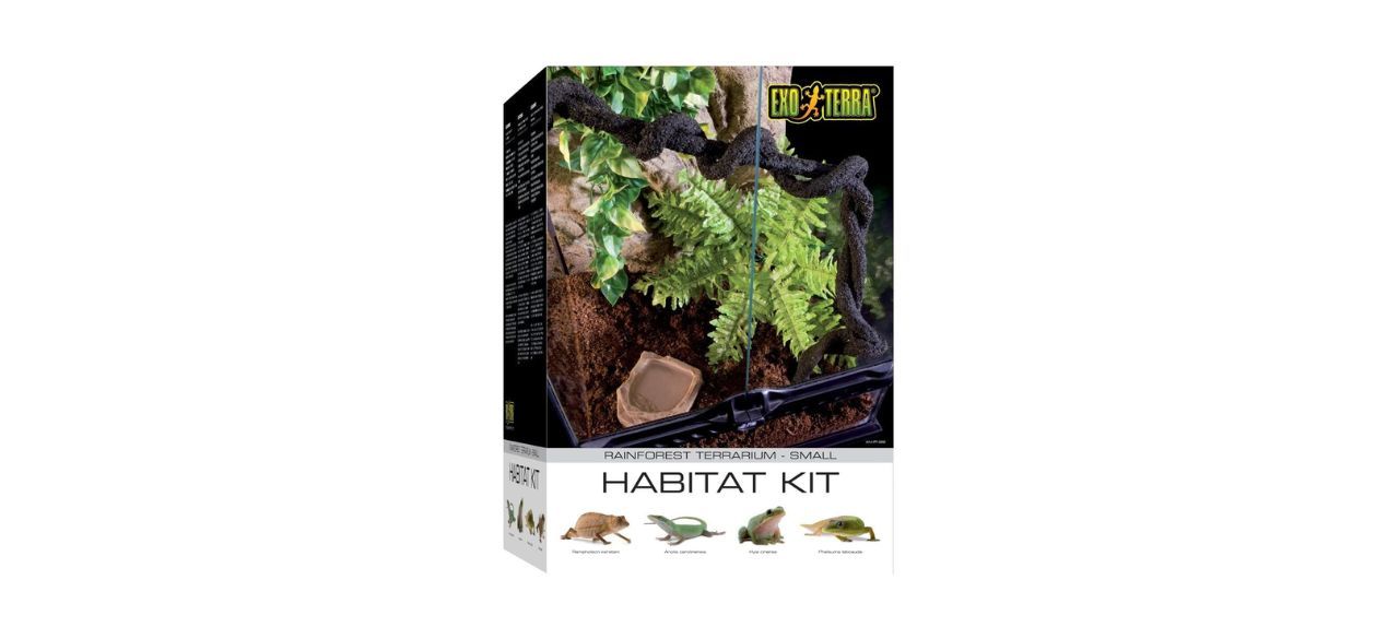 Best Exo Terra Rainforest Habitat Kit 