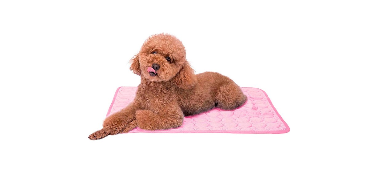 Best Faith Force Pet Cooling Mat