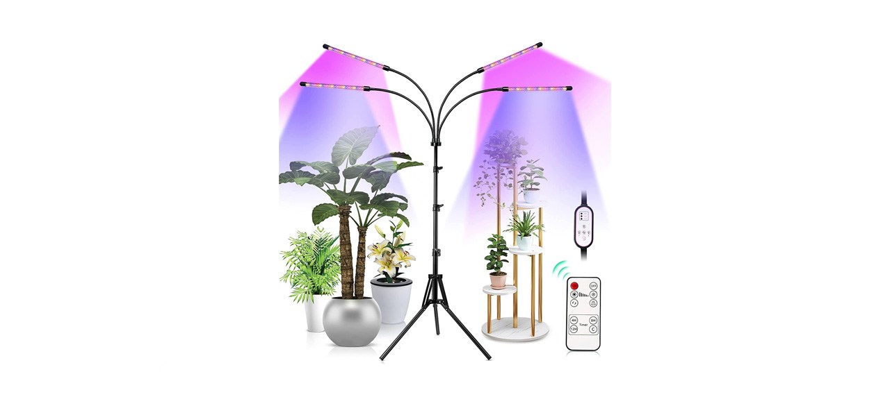 best Feel Show Grow Light