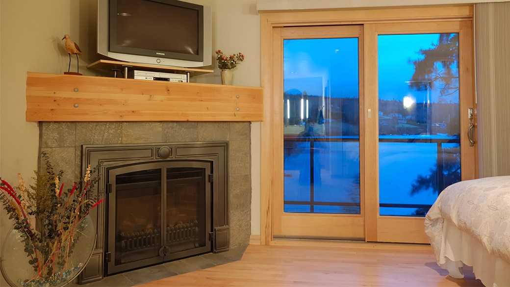 Best fireplace door