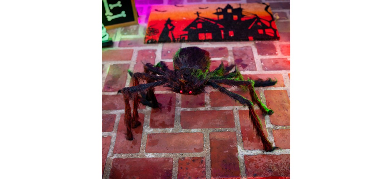 Best Jumbo Halloween Spider Decoration