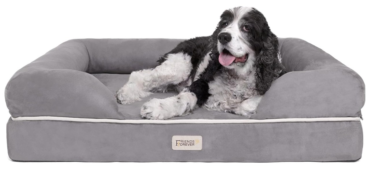 Friends Forever Premium Orthopedic Dog Bed