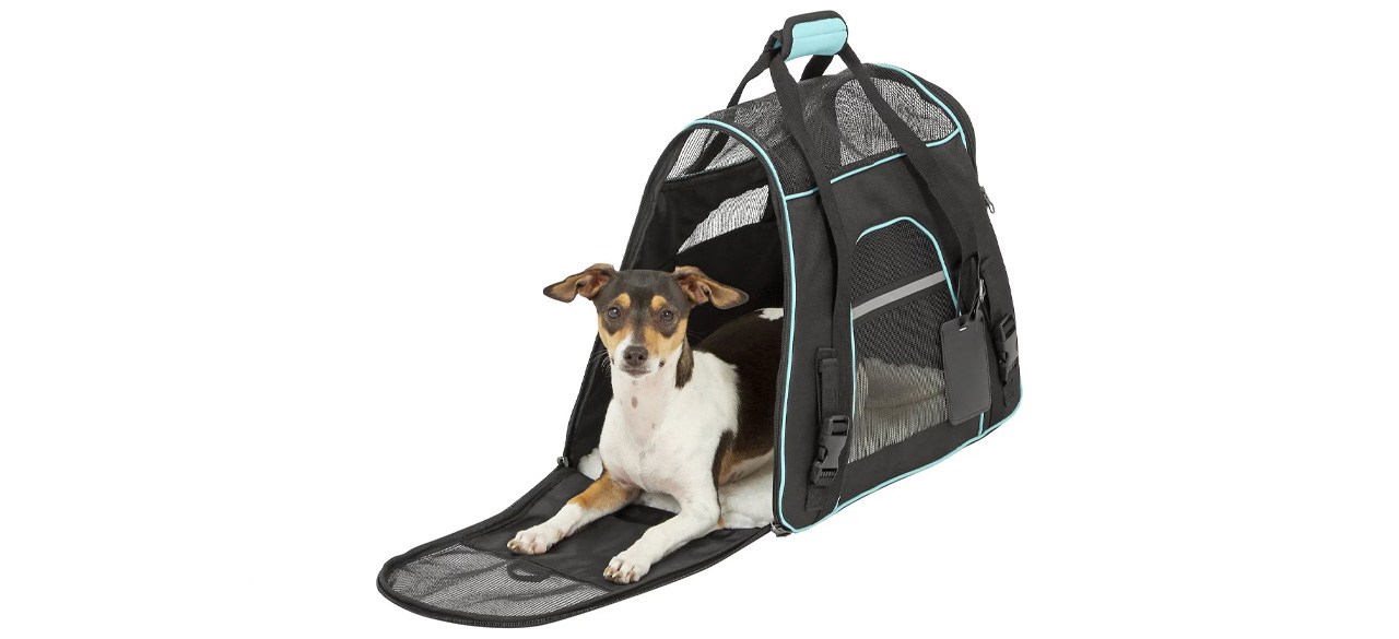 Frisco Basic Dog and Cat Carrier