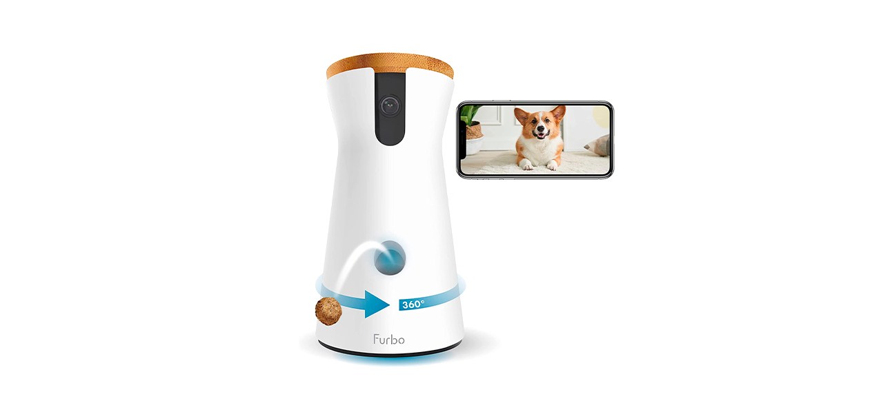 Best Furbo 360 Degree Dog Camera