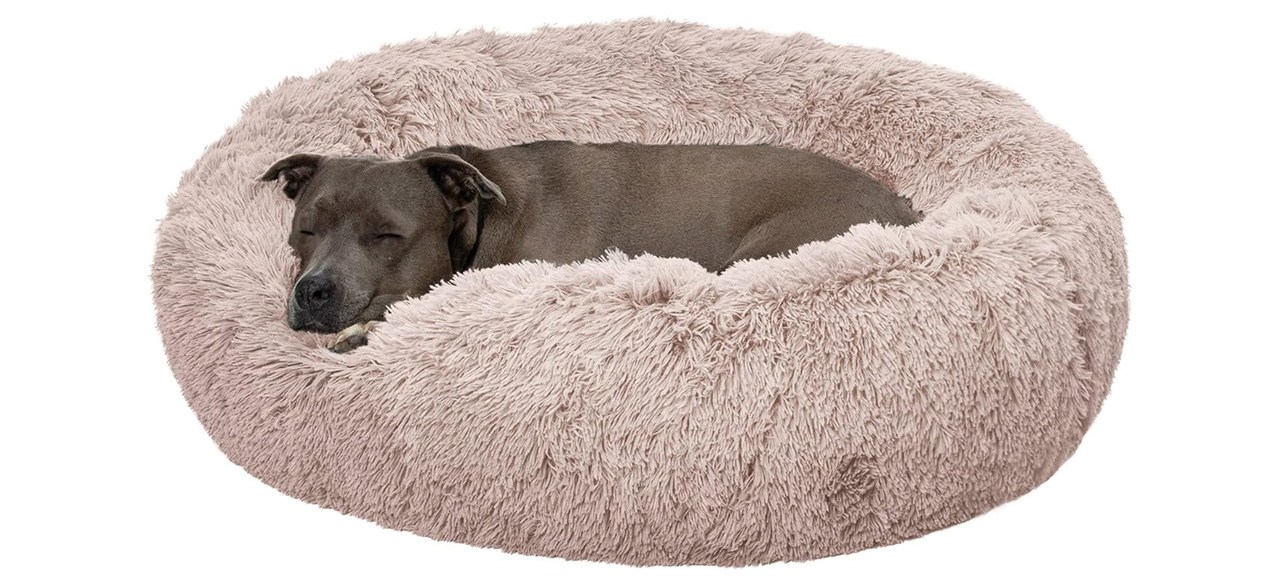 Furhaven Calming Cuddler Doughnut Bed