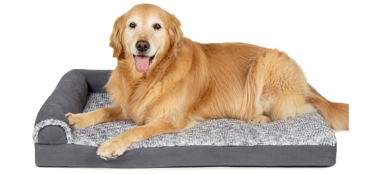 Furhaven Pet Deluxe Orthopedic Chaise Couch Pet Bed