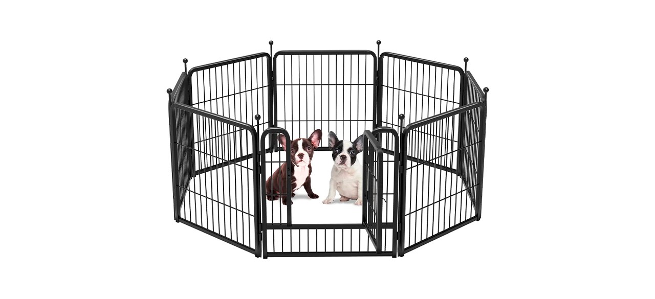 Best FXW Rollick Dog Playpen