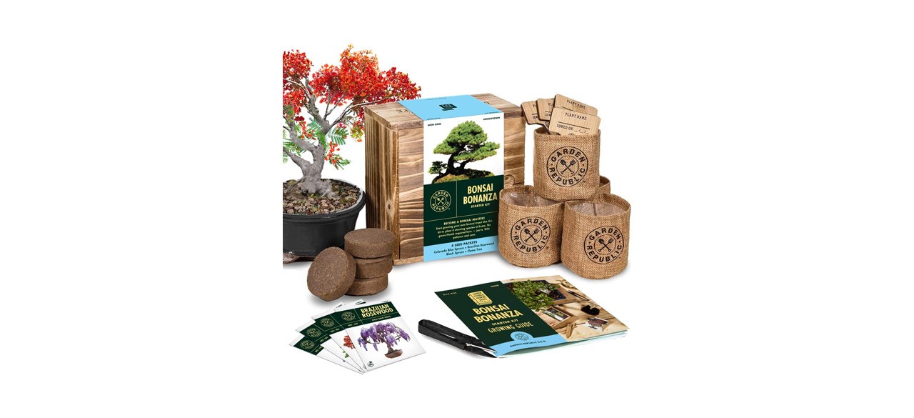 best Garden Republic Bonsai Bonanza Starter Kit