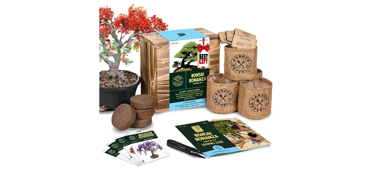 Garden Republic Bonsai Starter Kit